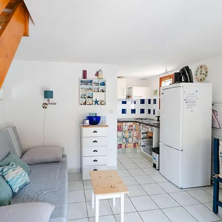 Pavillon T3 Avec Terrasse Sud, Piscine, Proche A - Fr-1-409-198 Villa